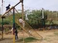 IMG-20191123-WA0006